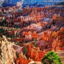 헤어카페 이미지