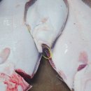 (주)베스트로 이미지