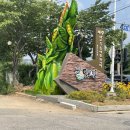 헤이리303 이미지