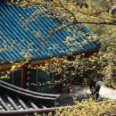 인터넷제국 이미지