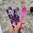 고양이카페 루프캣미 명동점 이미지