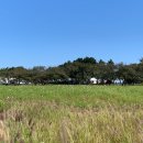 소극장 소금창고 | 2023 시흥갯골축제 : 세상에서 가장 큰 생태 예술 놀이터