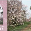 비밀의정원 이미지