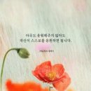 코끼리헤어 이미지