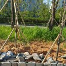 스톤캐슬 이미지