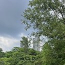 시즌호텔 이미지