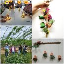 은영가족농장 이미지