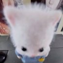 풍년떡집 이미지