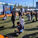 동탄 수질복원센터 축구장 이미지