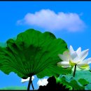 김*부 - 미추홀구 장천로112번길 24 | 김*부
