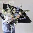 그레이스졸리
