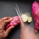 심기보농장 | 주말농장 2년 차의 솔직 후기: 올해 실패·성공작물 정리