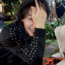 팅커벨과 피터맨 | 도쿄는 사랑해도 아무것도 없어(말고 영크크)