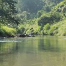 배암농장 이미지