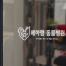 헤아림 동물병원 이미지