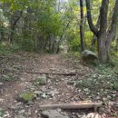 도덕산공원(야외음악당) 이미지