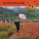 주왕산관광단지내 이미지