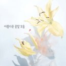 아름다운 꽃말 모음 이미지