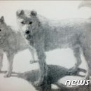 다온펫# 이미지