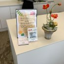 바즈플라워 이미지