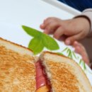 레인보우 토스트 이미지