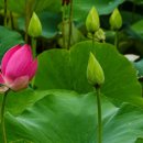 섬말공원1 이미지