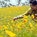 화양근린공원 이미지