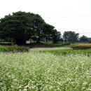 남해-196 이미지