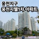 웅천동 1894(포레나여수웅천1단지, 2단지 사이 도로) | 여수 웅천지구 지웰1차 주변상권 학군 분위기 임장