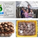 윤승호농장 이미지