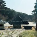 소나무언덕3호 | 안면도 자연휴양림 &amp; 안면도 수목원 / 충남 태안 아이랑 가볼 만한 여행지