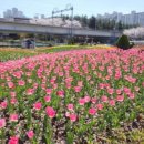 낙동강관리본부 화명생태공원 15 이미지