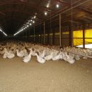 동강농장 이미지