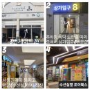 수원 어린이서점 광교조이북스 놀라운자연 구매후기