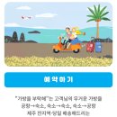 제주 짐옮김이 뚜벅이 여행자 제주도 캐리어 배송 가방을부탁해 후기