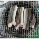 왔다 산아나고구이 이미지