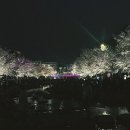 시청2길 이미지