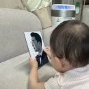 14개월이랑 초여름나기🫐