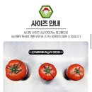 농업회사법인 (주)해우리팜2농장 | (주)영파머스농업회사법인, GAP 완숙토마토🍅