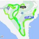 진도개패밀리 | 쏠비치진도 패밀리룸,석식뷔페후기,진도 가볼만한곳