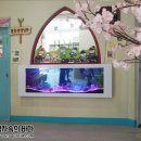 푸른자연유치원 이미지