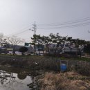 금풍마트 이미지