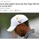 오리한마리 이미지