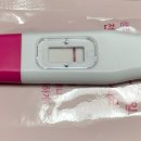 서초대로27길 25 네이버블로그