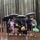 제주안에서 이미지