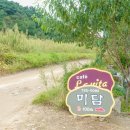 미담트레블