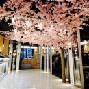 앤유(nu) PC방 이미지