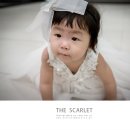 마벨리에 이미지