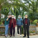 조은꽃식물원 이미지