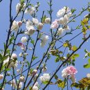 에버주유소 이미지